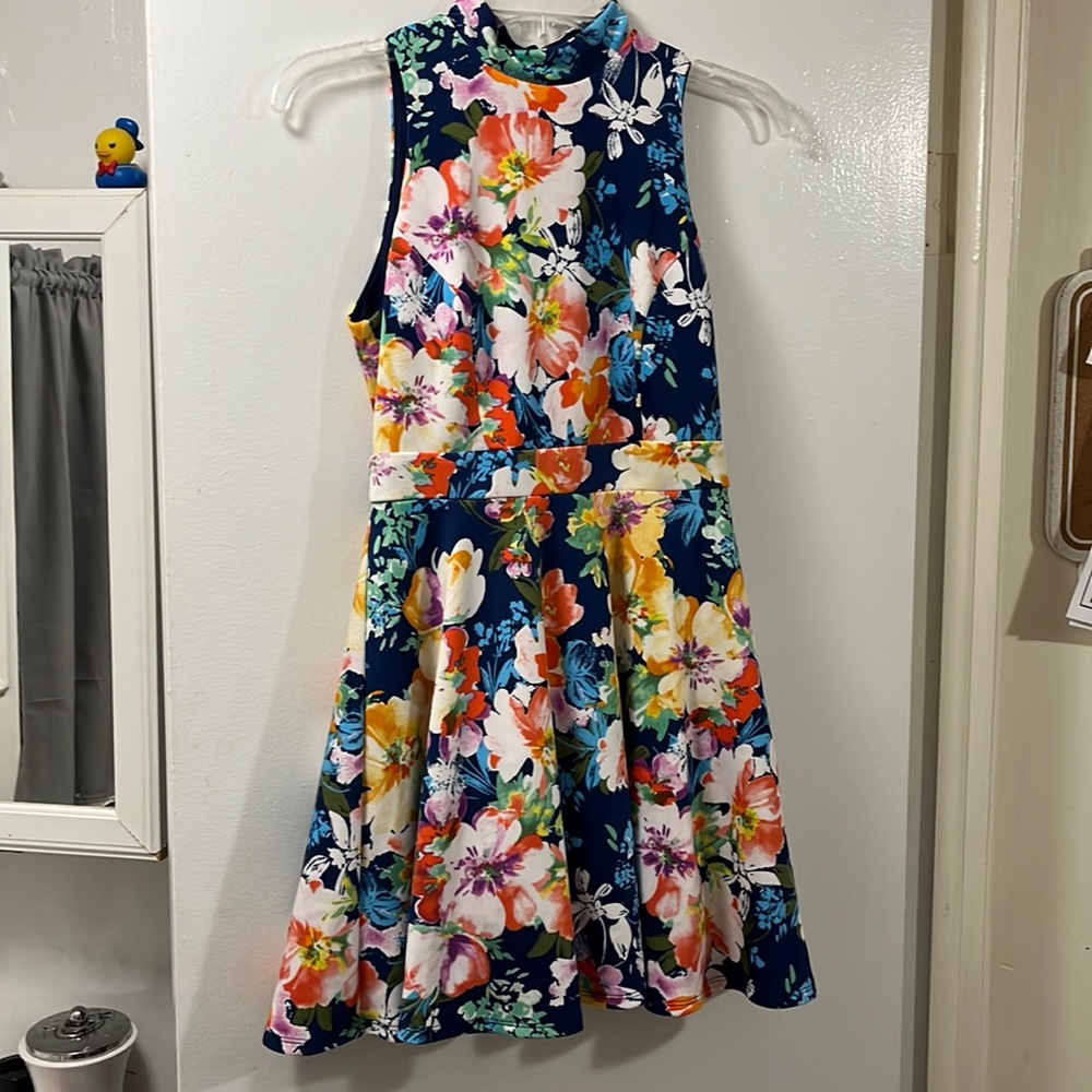 Blue Floral Dress.